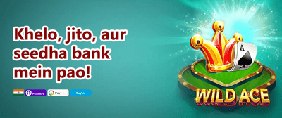 VIP Loyalty Program promotion banner